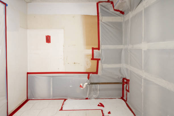 Best Emergency Mold Remediation  in Draper, UT