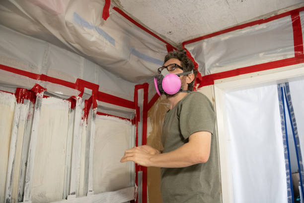 Best Attic Mold Removal  in Draper, UT